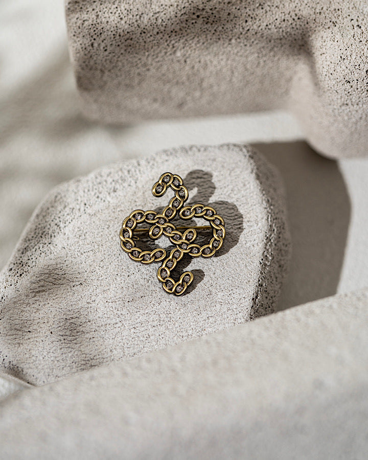 New Autonoma Brooch