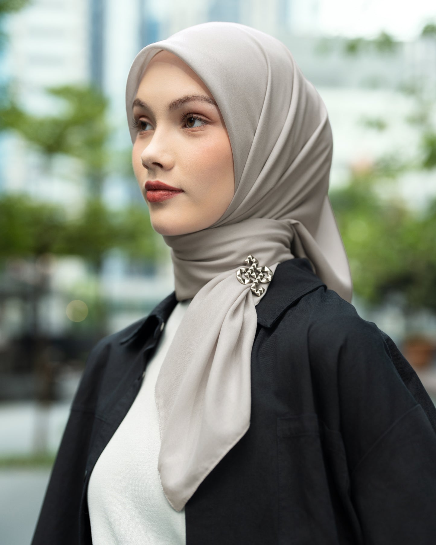 HL Voal Iron Black Logo