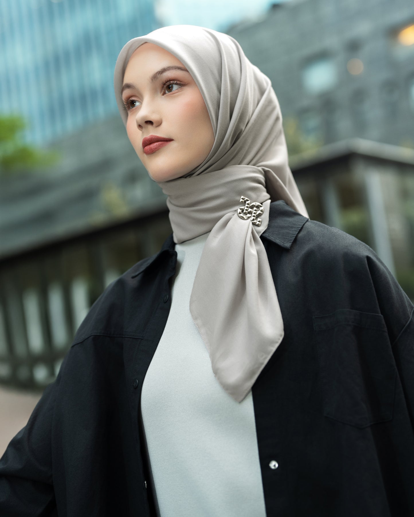 HL Voal Iron Black Logo